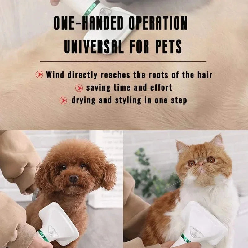 2-in-1 Pet Hair Dryer for Cats and Dogs